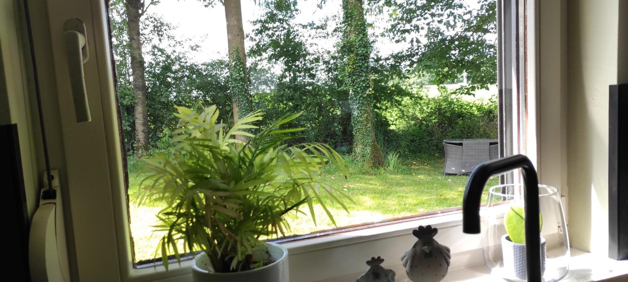 Au "Cottage Paisible" Rendeux Buitenkant foto
